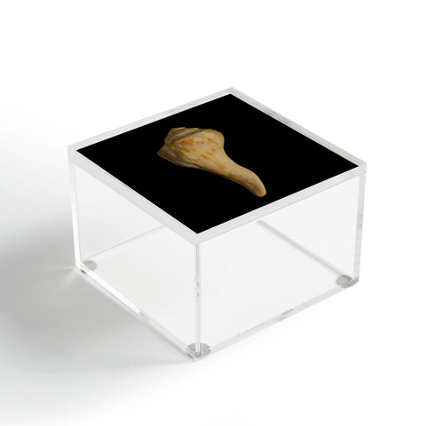 PI Photography and Designs States of Erosion 9 Acrylic Box