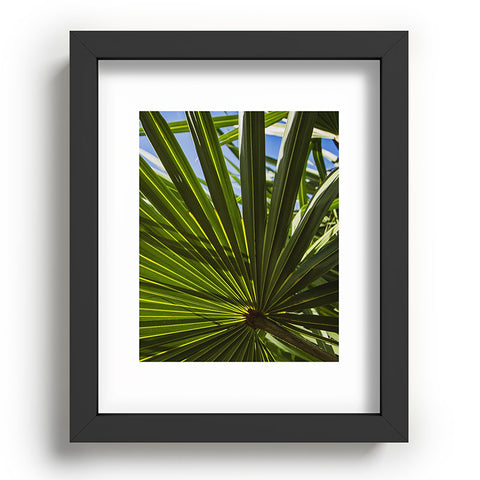 PI Photography and Designs Wide Palm Leaves Recessed Framing Rectangle
