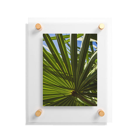 PI Photography and Designs Wide Palm Leaves Floating Acrylic Print