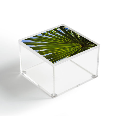 PI Photography and Designs Wide Palm Leaves Acrylic Box