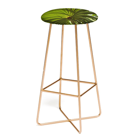 PI Photography and Designs Wide Palm Leaves Bar Stool