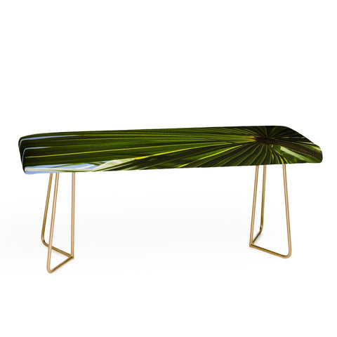 PI Photography and Designs Wide Palm Leaves Bench