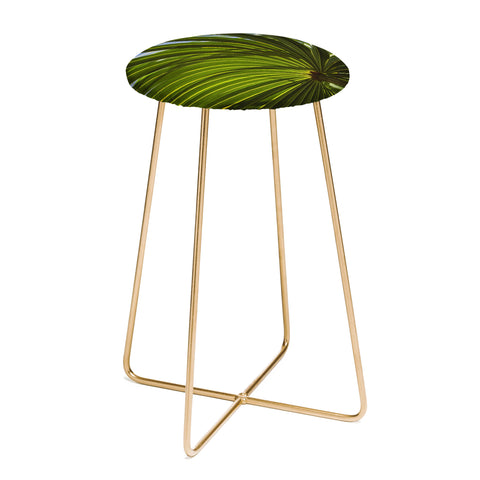 PI Photography and Designs Wide Palm Leaves Counter Stool