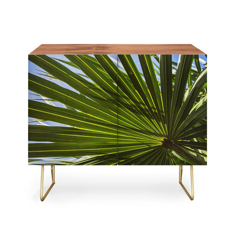 PI Photography and Designs Wide Palm Leaves Credenza