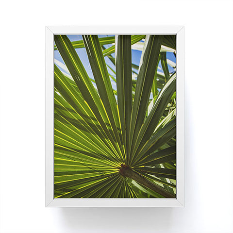 PI Photography and Designs Wide Palm Leaves Framed Mini Art Print