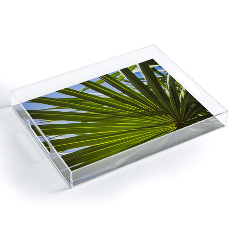 PI Photography and Designs Wide Palm Leaves Acrylic Tray