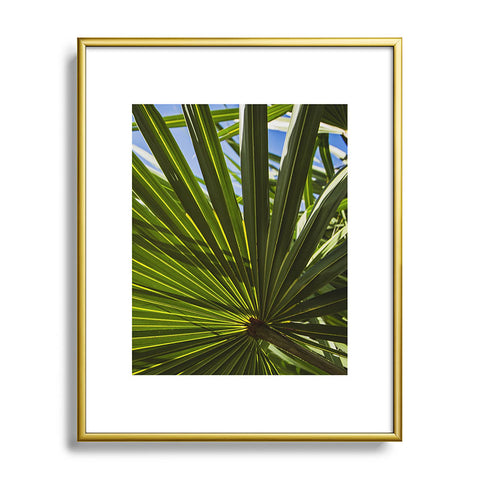 PI Photography and Designs Wide Palm Leaves Metal Framed Art Print