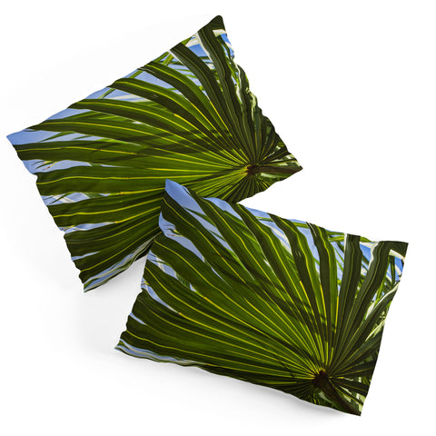 PI Photography and Designs Wide Palm Leaves Pillow Shams
