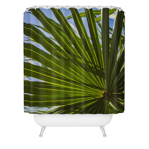 PI Photography and Designs Wide Palm Leaves Shower Curtain