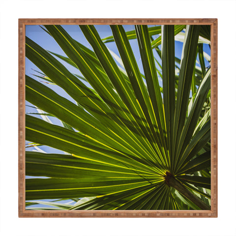 PI Photography and Designs Wide Palm Leaves Square Tray