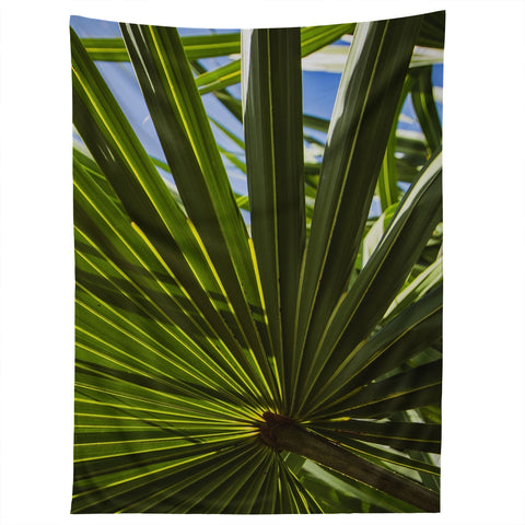 PI Photography and Designs Wide Palm Leaves Tapestry