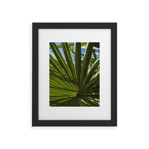 PI Photography and Designs Wide Palm Leaves Framed Art Print