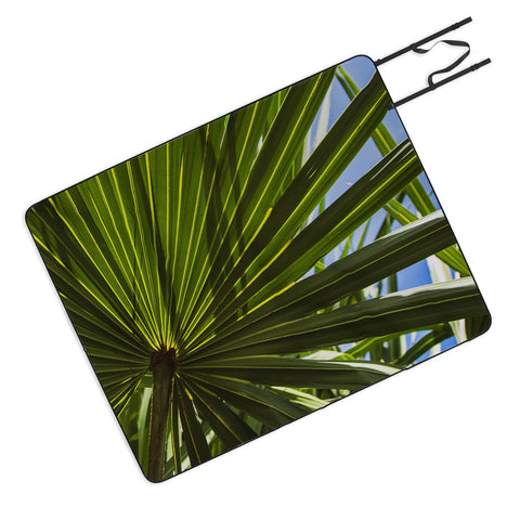 PI Photography and Designs Wide Palm Leaves Picnic Blanket