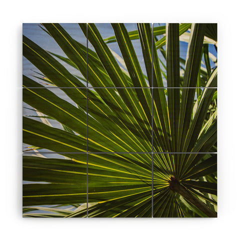 PI Photography and Designs Wide Palm Leaves Wood Wall Mural