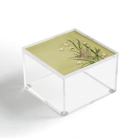 Pimlada Phuapradit Hummingbird 03 Acrylic Box