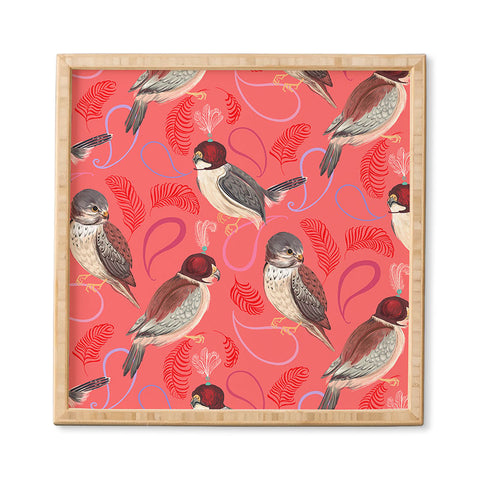 Pimlada Phuapradit Pygmy Falcons Framed Wall Art