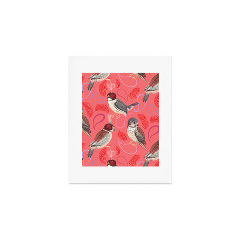 Pimlada Phuapradit Pygmy Falcons Art Print