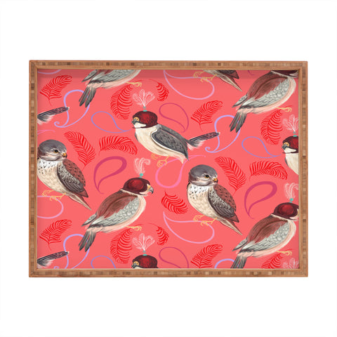 Pimlada Phuapradit Pygmy Falcons Rectangular Tray