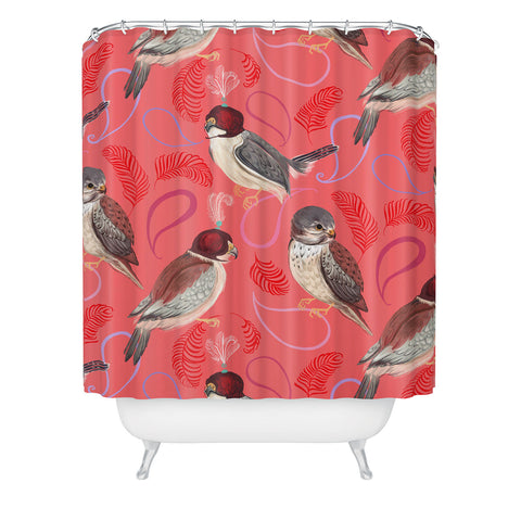 Pimlada Phuapradit Pygmy Falcons Shower Curtain