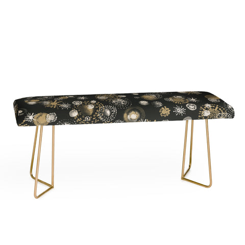 Pimlada Phuapradit Star dot black Bench