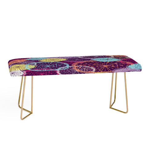 Rachael Taylor Wheel Of Wonder 1 Bench
