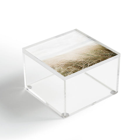 raisazwart Dune grass Ireland Acrylic Box