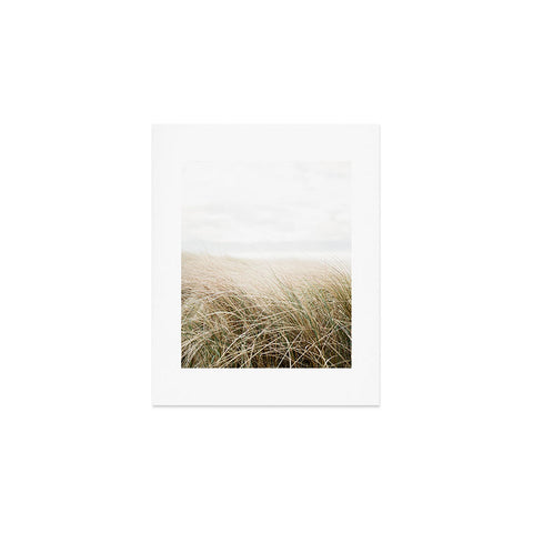 raisazwart Dune grass Ireland Art Print