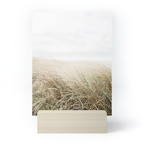 raisazwart Dune grass Ireland Mini Art Print