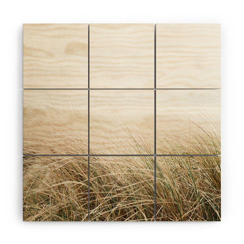 raisazwart Dune grass Ireland Wood Wall Mural