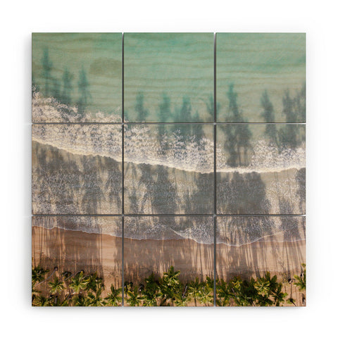 raisazwart Turquoise water Tropical travel Wood Wall Mural