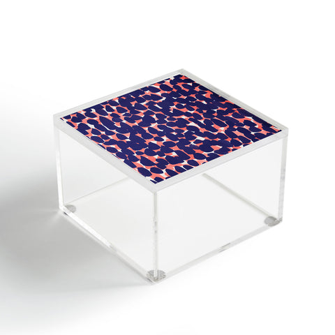 Rebecca Allen Bem Bem Acrylic Box