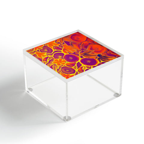 Renie Britenbucher Funky Floral In Orange Acrylic Box