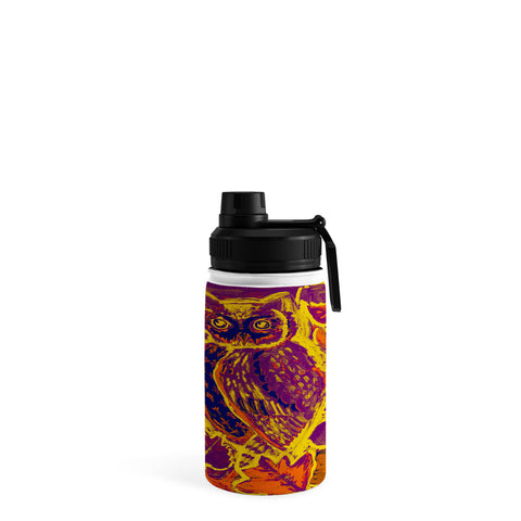 Renie Britenbucher Owl Orange Batik Water Bottle