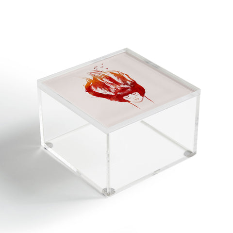 Robert Farkas Burning Forest Acrylic Box