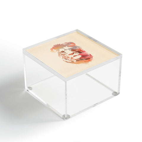 Robert Farkas Desert lion Acrylic Box