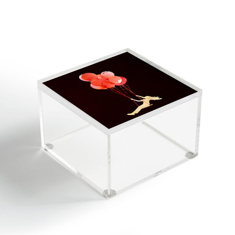 Robert Farkas Fly The Hell Away Acrylic Box