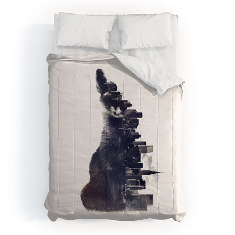 Robert Farkas Fox from the city Comforter