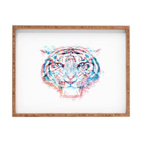 Robert Farkas Hidden Information Rectangular Tray