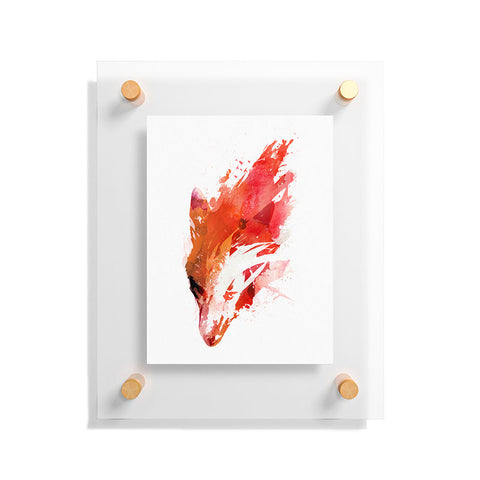 Robert Farkas Hungry Fox Floating Acrylic Print