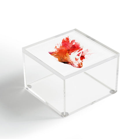 Robert Farkas Hungry Fox Acrylic Box