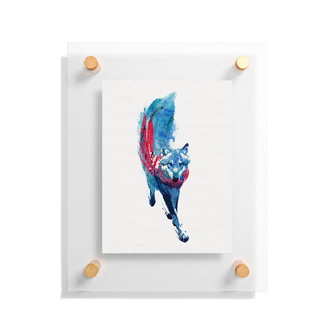 Robert Farkas Lupus lupus Floating Acrylic Print