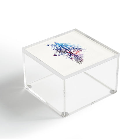 Robert Farkas My roots Acrylic Box
