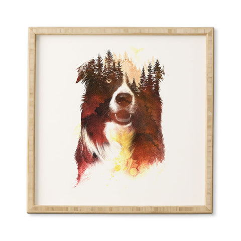 Robert Farkas One night in the forest Framed Wall Art