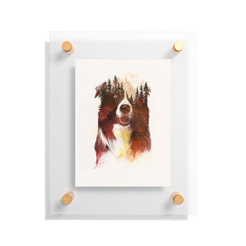 Robert Farkas One night in the forest Floating Acrylic Print