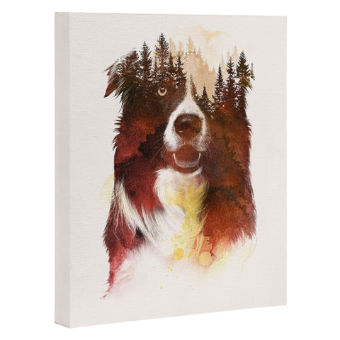 Robert Farkas One night in the forest Art Canvas