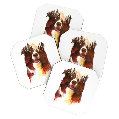 Robert Farkas One night in the forest Coaster Set