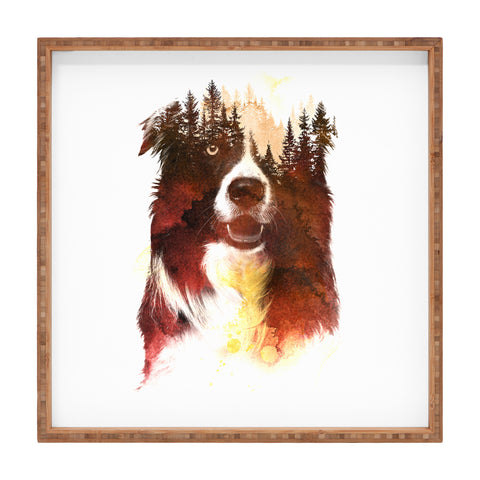 Robert Farkas One night in the forest Square Tray