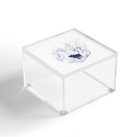 Robert Farkas Organic prison Acrylic Box