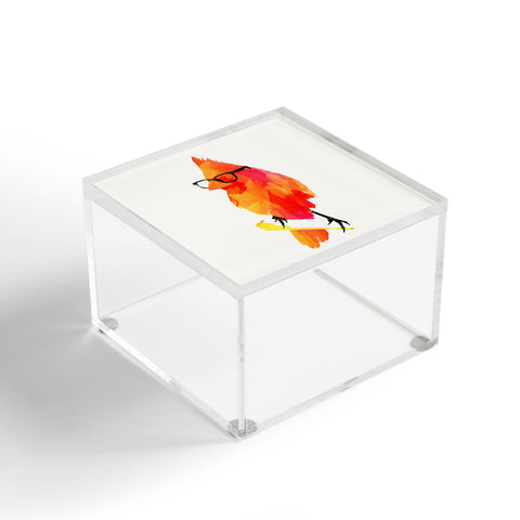 Robert Farkas Punk Bird Acrylic Box