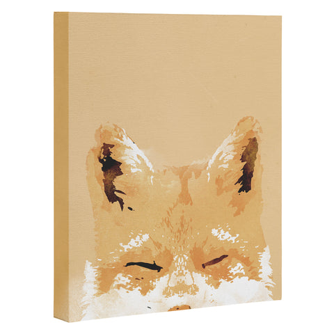 Robert Farkas Smiling fox Art Canvas